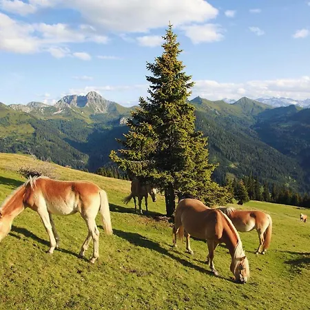 Casa de Férias Alpenstern Osb02079 Cya *